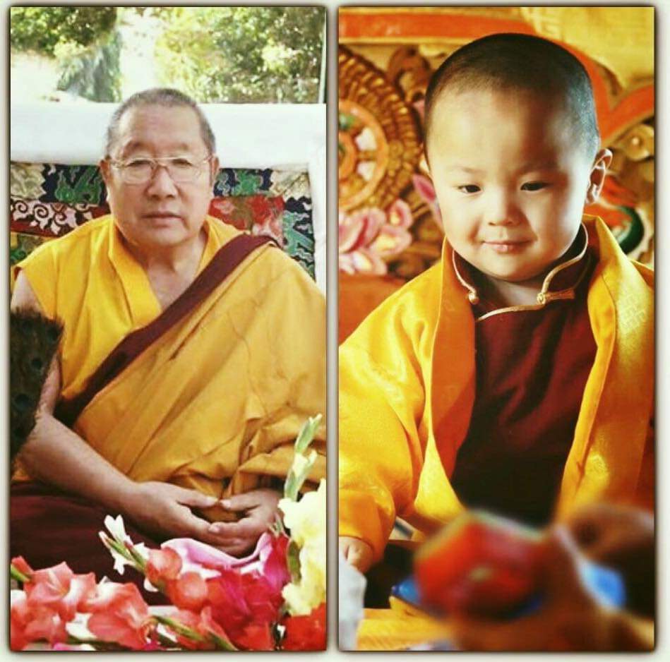 His Holiness Pema Norbu Rinpoche